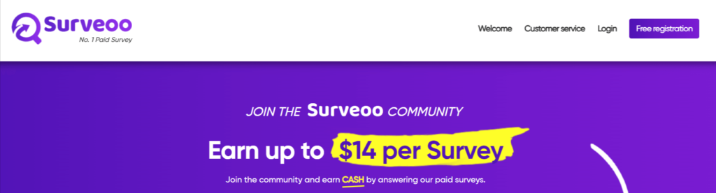 Surveoo surveys